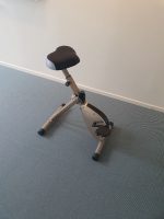 Deskbike Skrivebordscykel | SportOffice