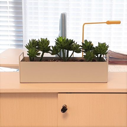 Potte til kontorplanter Plantekasse |
  FERM LIVING