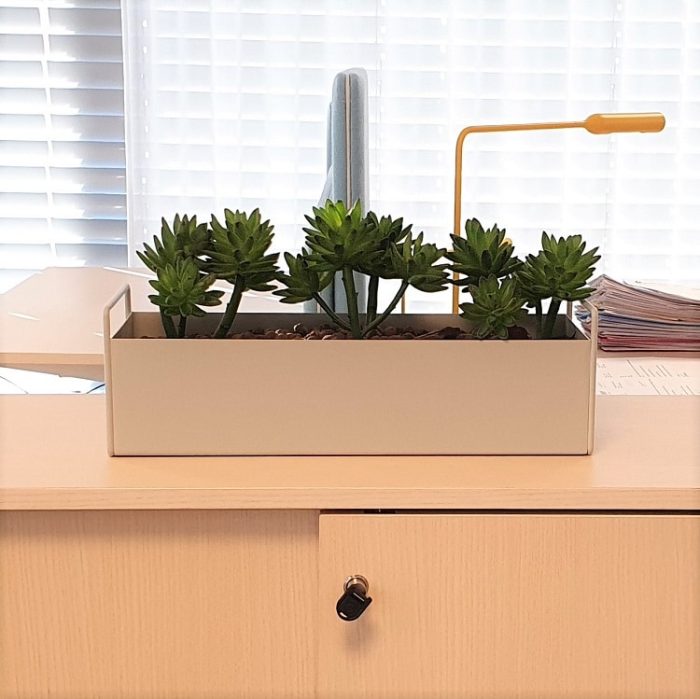 Potte til kontorplanter Plantekasse |
  FERM LIVING